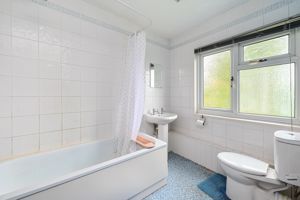 Photo 11- click for photo gallery